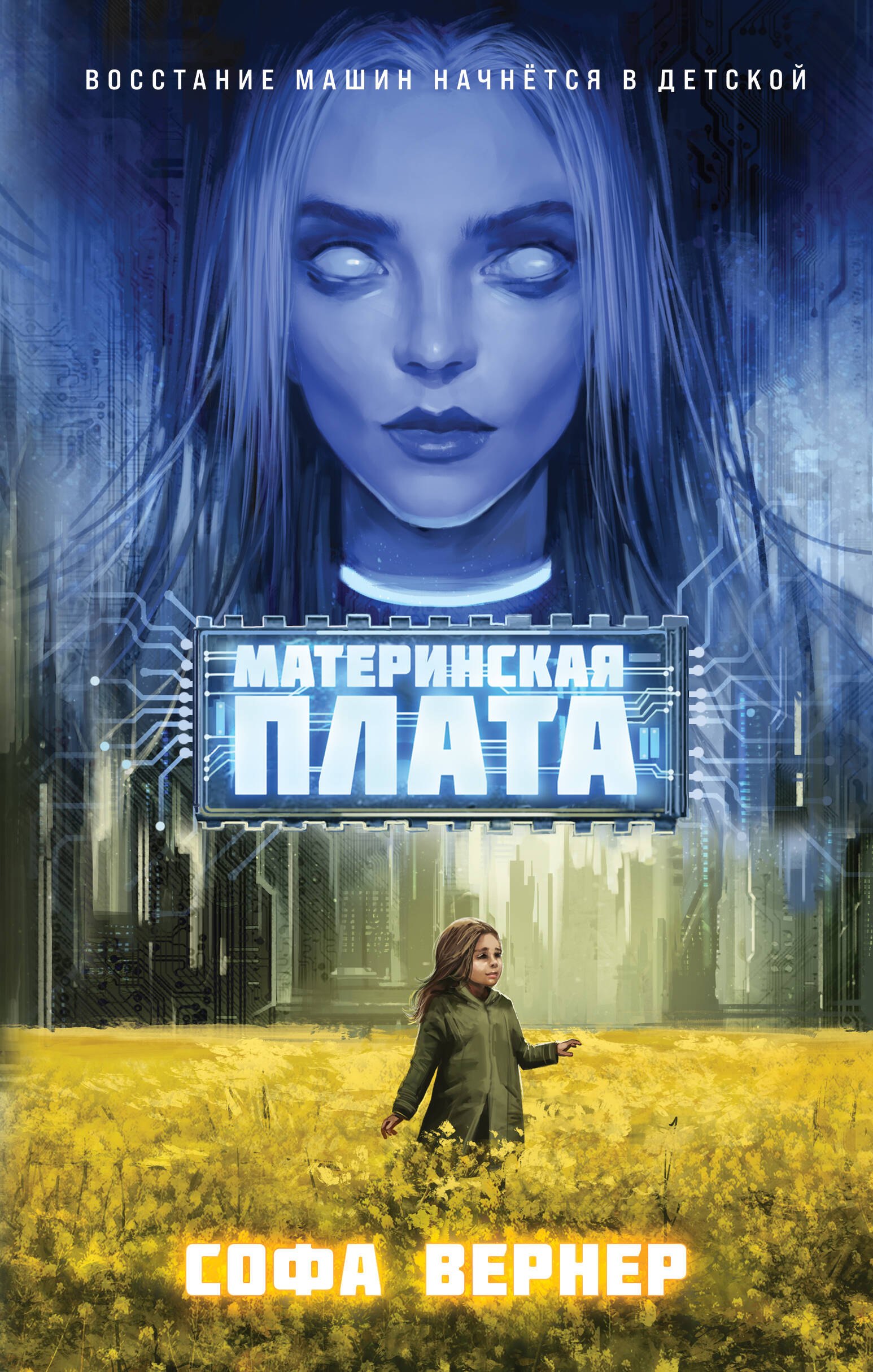 Софа Вернер Материнская плата